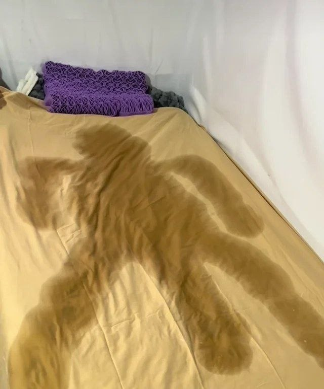 Mikhail Bocharov tweet media