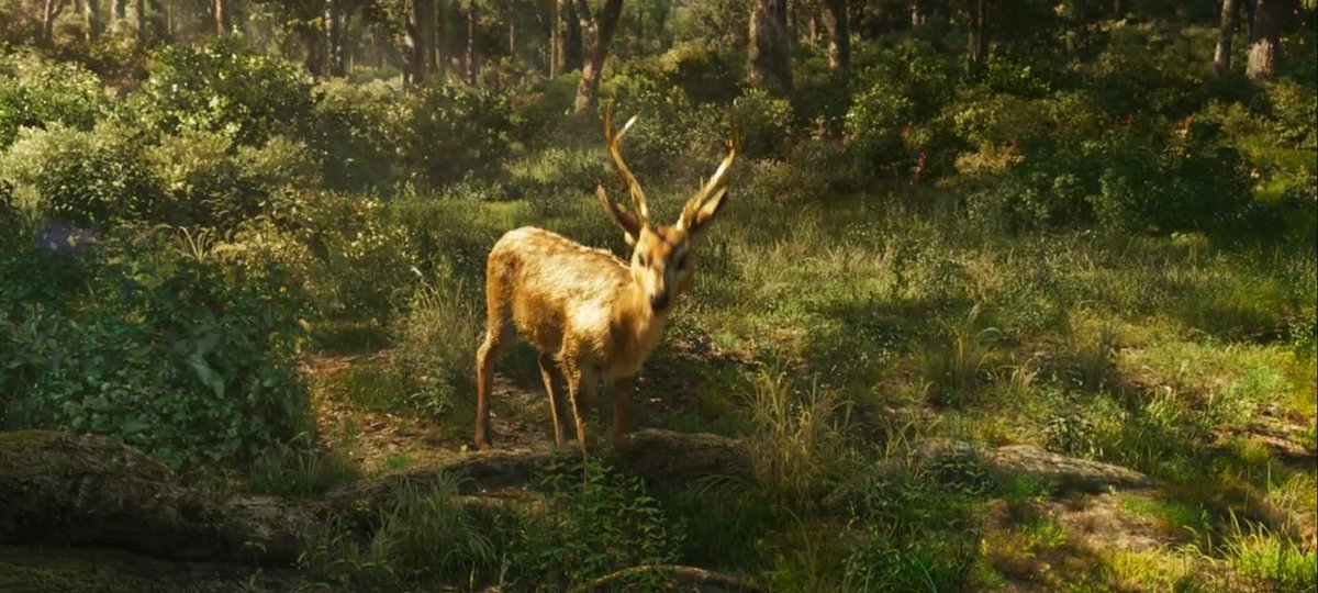 surajs6248's tweet image. #salmankhan𓃵 cameo in ramayana!
.
.
.
#rama