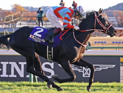 『奇跡の名馬』著者【海猫】兼目和明 〜世界名馬研究・馬民俗学研究家の記録譚〜 tweet media