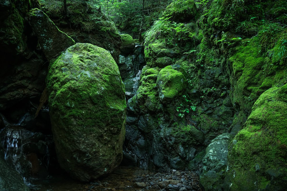 もんんも tweet media