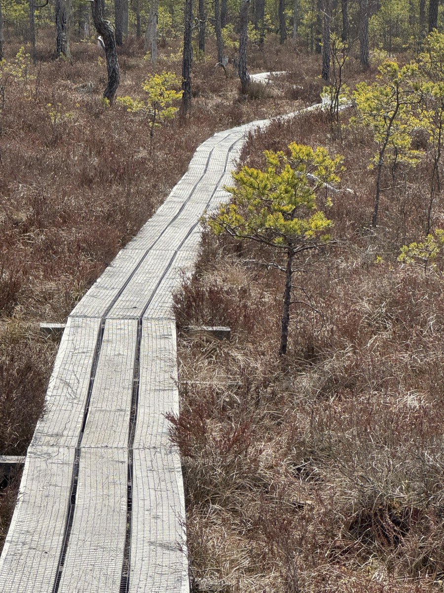 Thomas Rosenhagen - thomrosenhagen@bsky.social tweet media