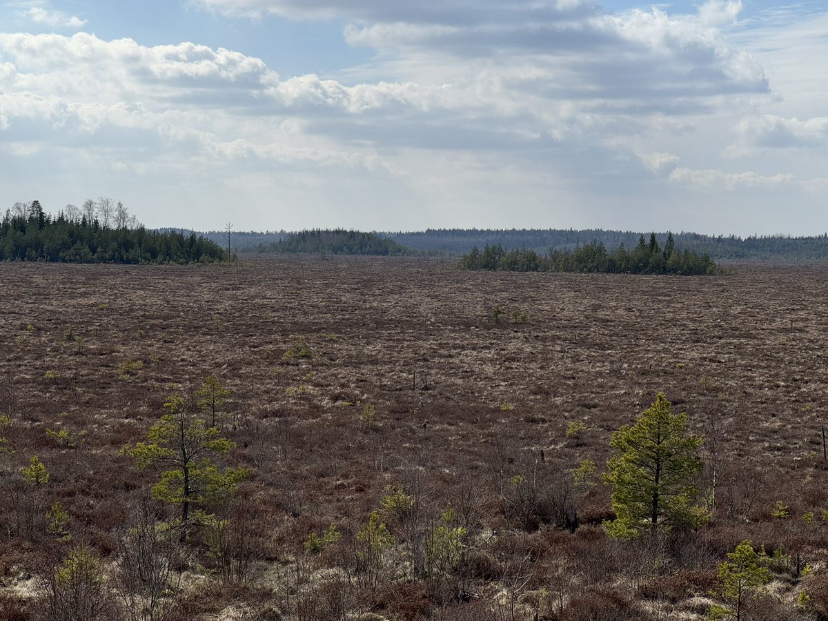 Thomas Rosenhagen - thomrosenhagen@bsky.social tweet media