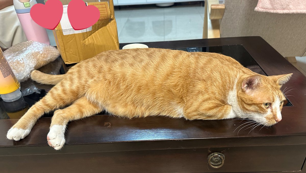 𝑅𝓊𝒷𝒾𝒾 ౨ৎ tweet media