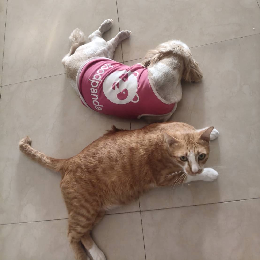 𝑅𝓊𝒷𝒾𝒾 ౨ৎ tweet media