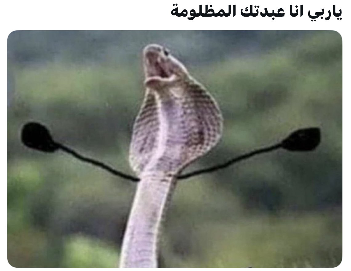 Sumuna6's tweet photo. @DrDaghashAlajmi يحليله يقول ( ما المشكلة ؟
أني لم أدع لهم !!! ) 🥺🐍🐍🐍 https://t.co/cHQPyrNmba