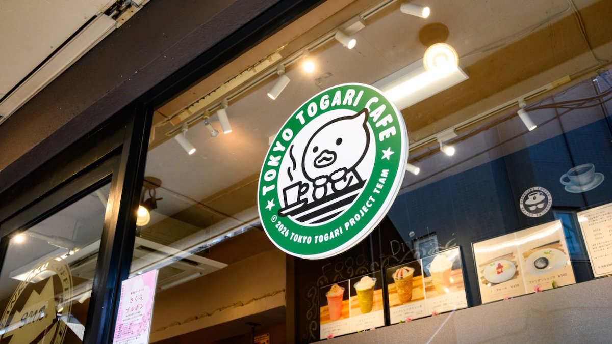 トガリちゃんねる tweet media