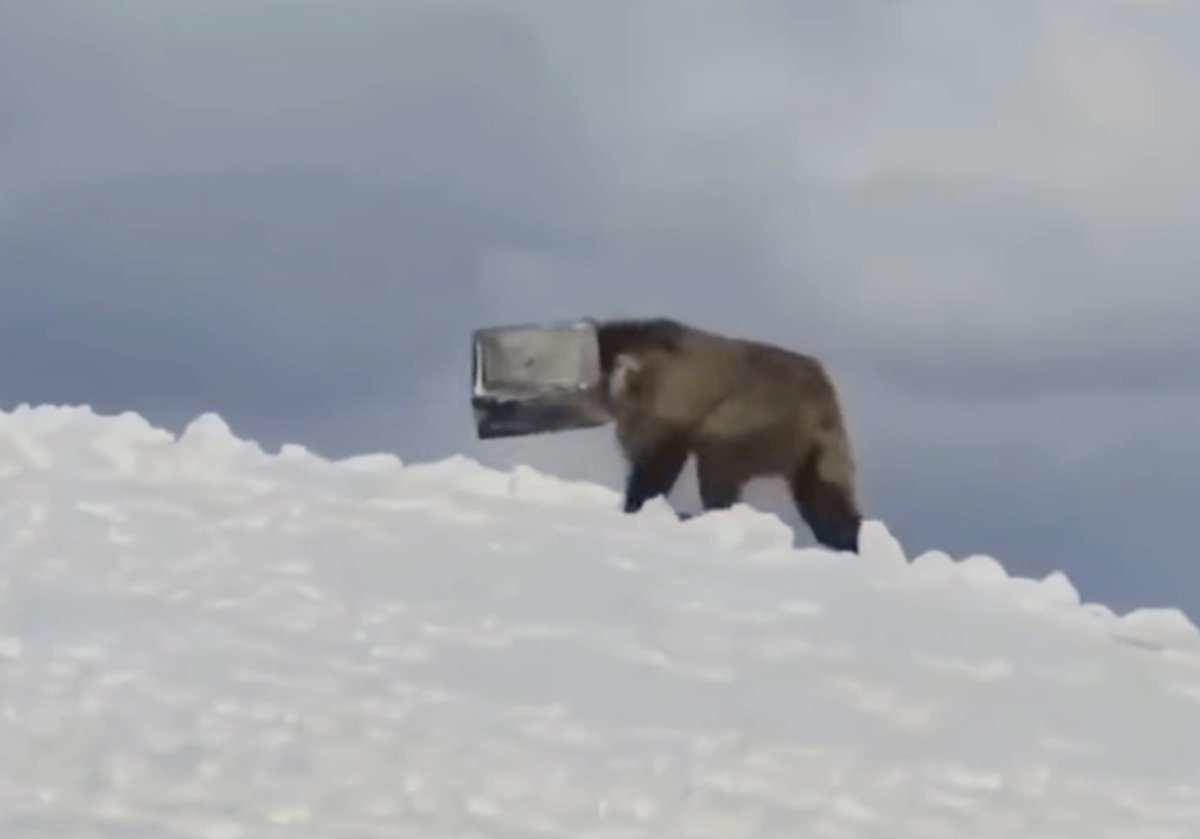 Andy Macaskill tweet media