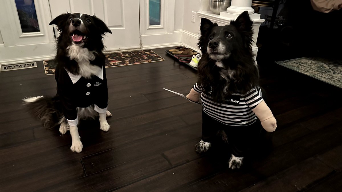 Dan Foss tweet media