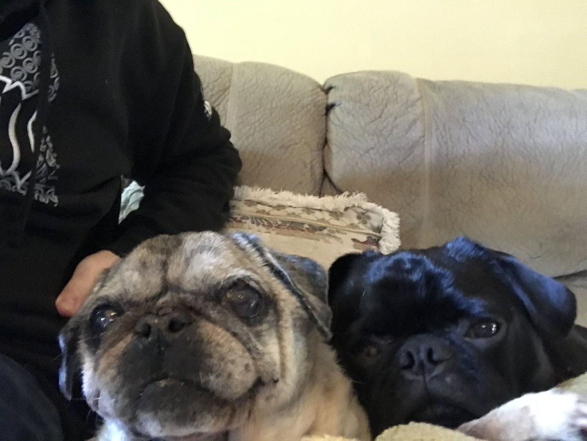 PhysisRizz tweet media