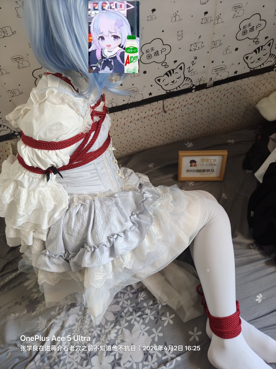 张学良在进蒋介石老穴之前都不知道他这么不抗日 tweet media