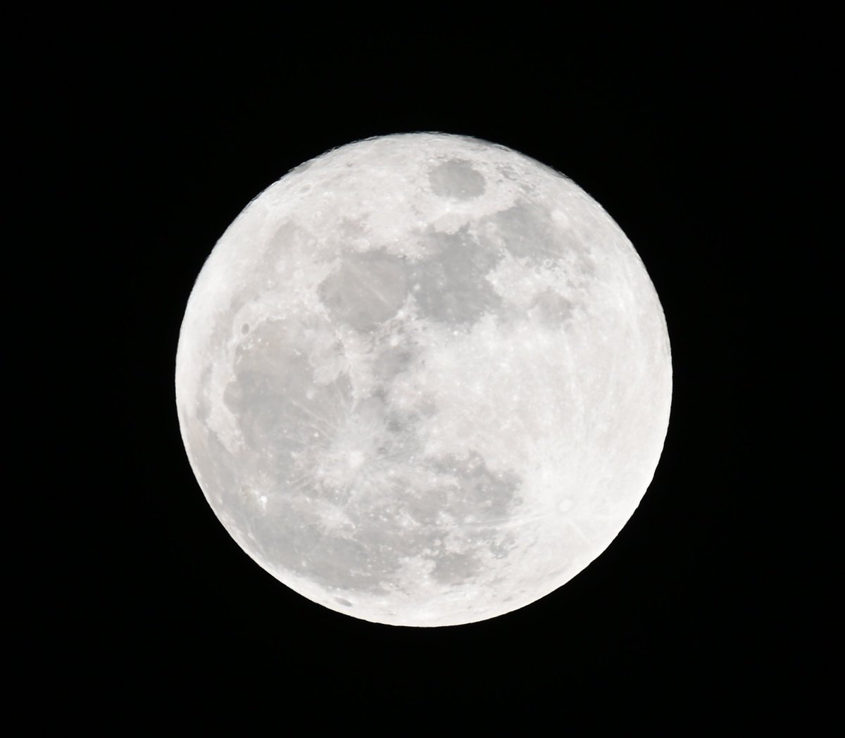 “ちゃっく”いぇーがー tweet media