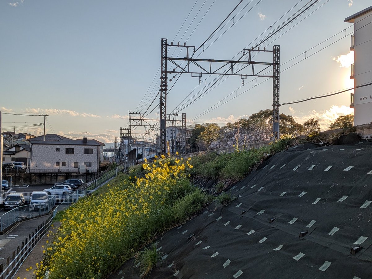 赤平秋夏（あかひら　しゅうか） tweet media