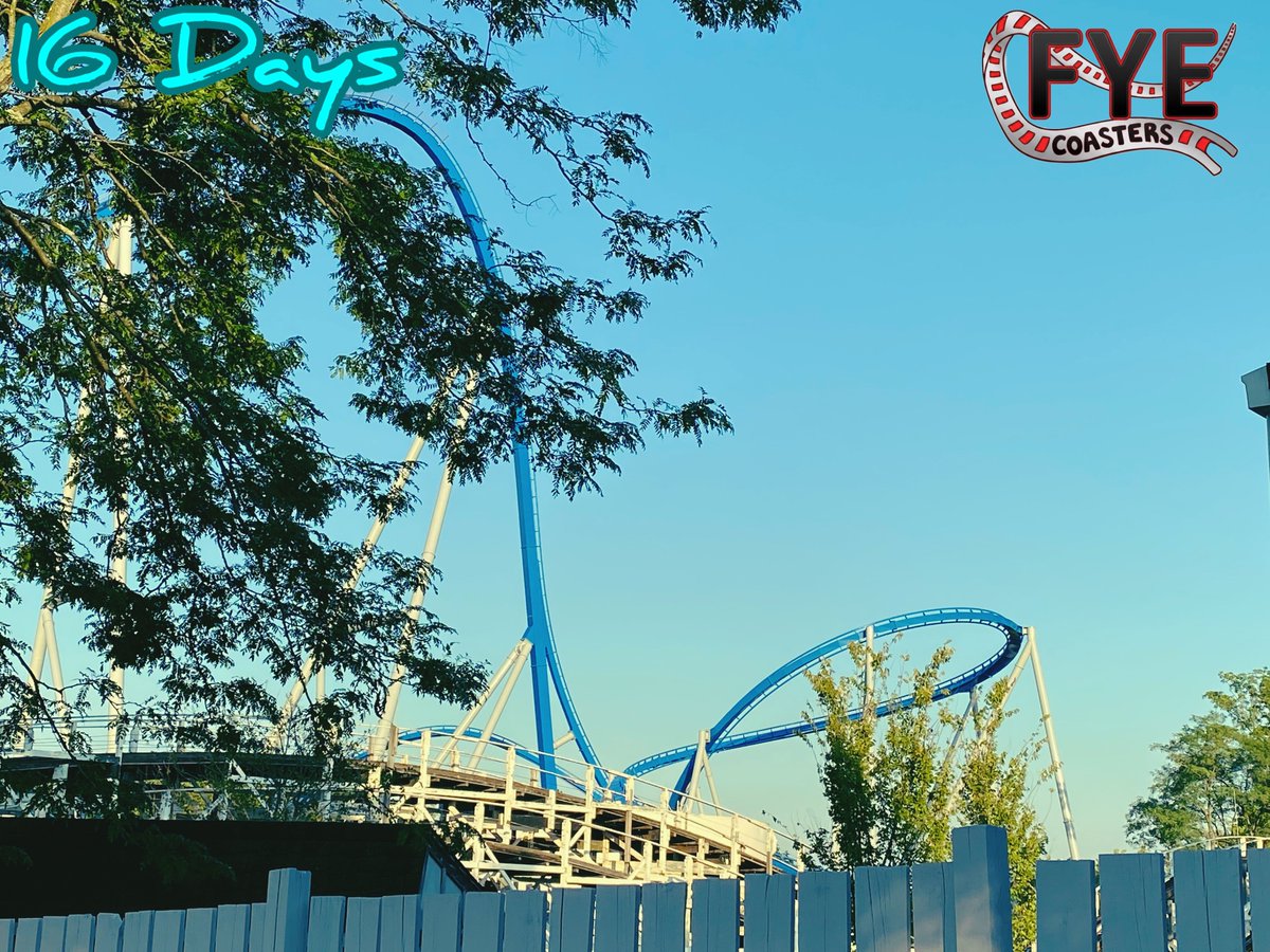 Fye Coasters tweet media