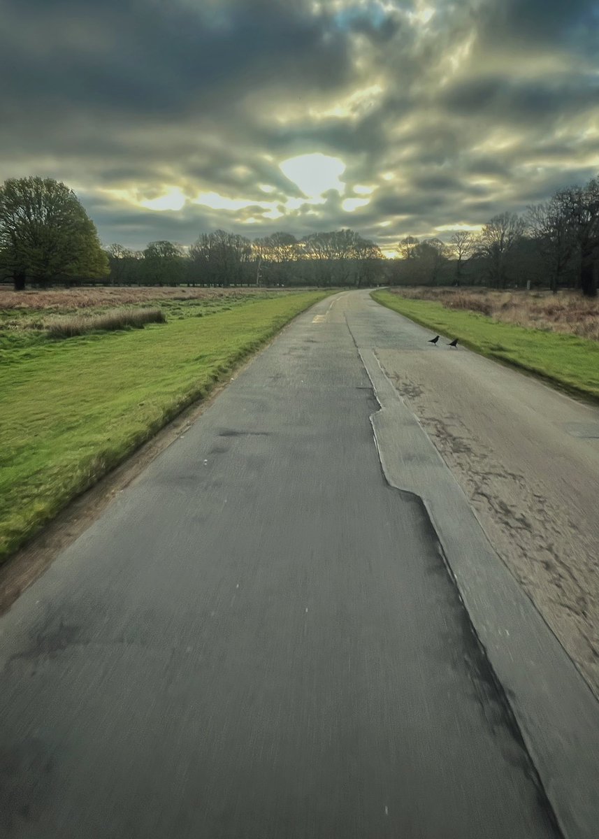 James Ferguson tweet media