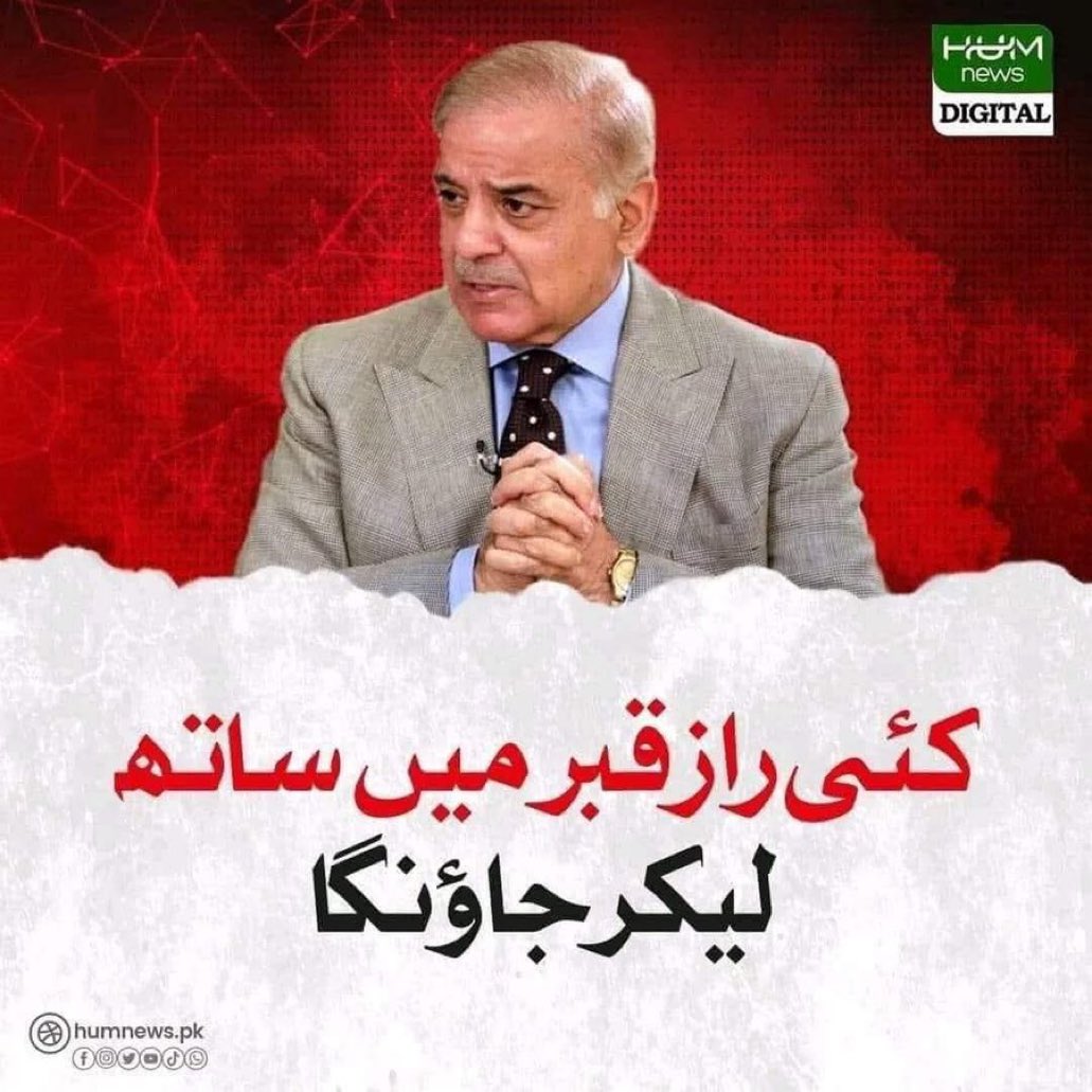 MaryaHaq tweet media