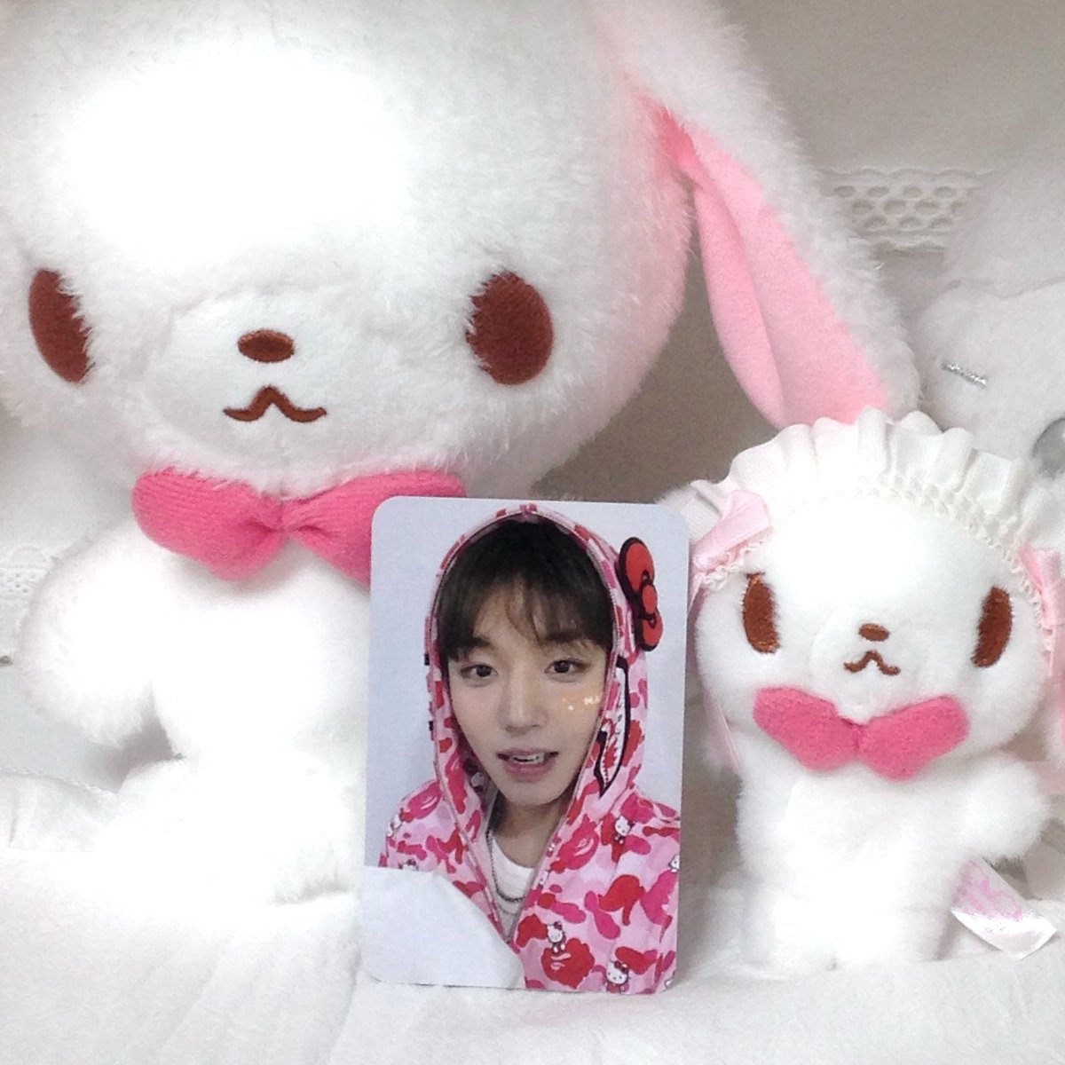 티모ੈ✩ tweet media