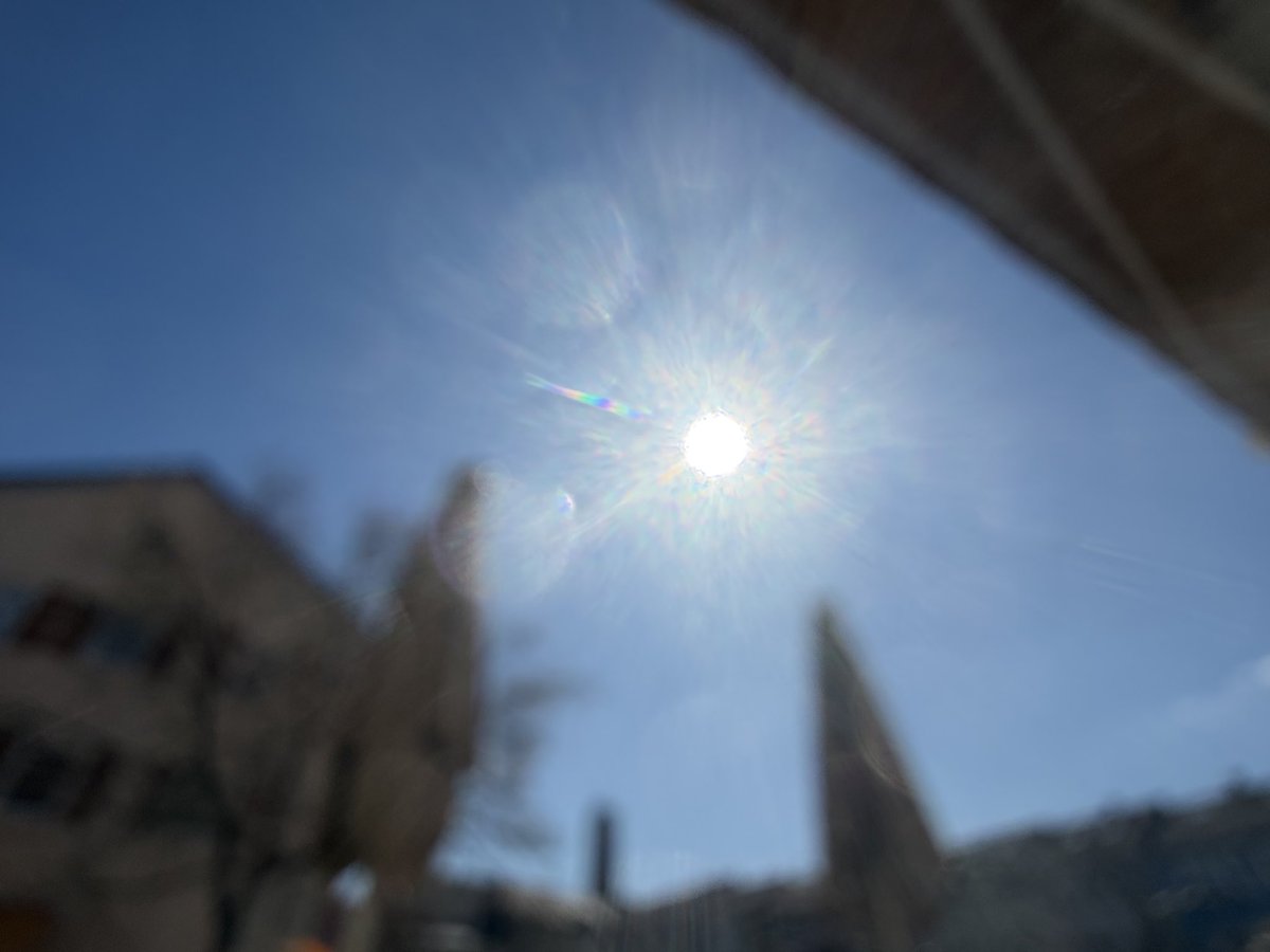 FrauHodl tweet media