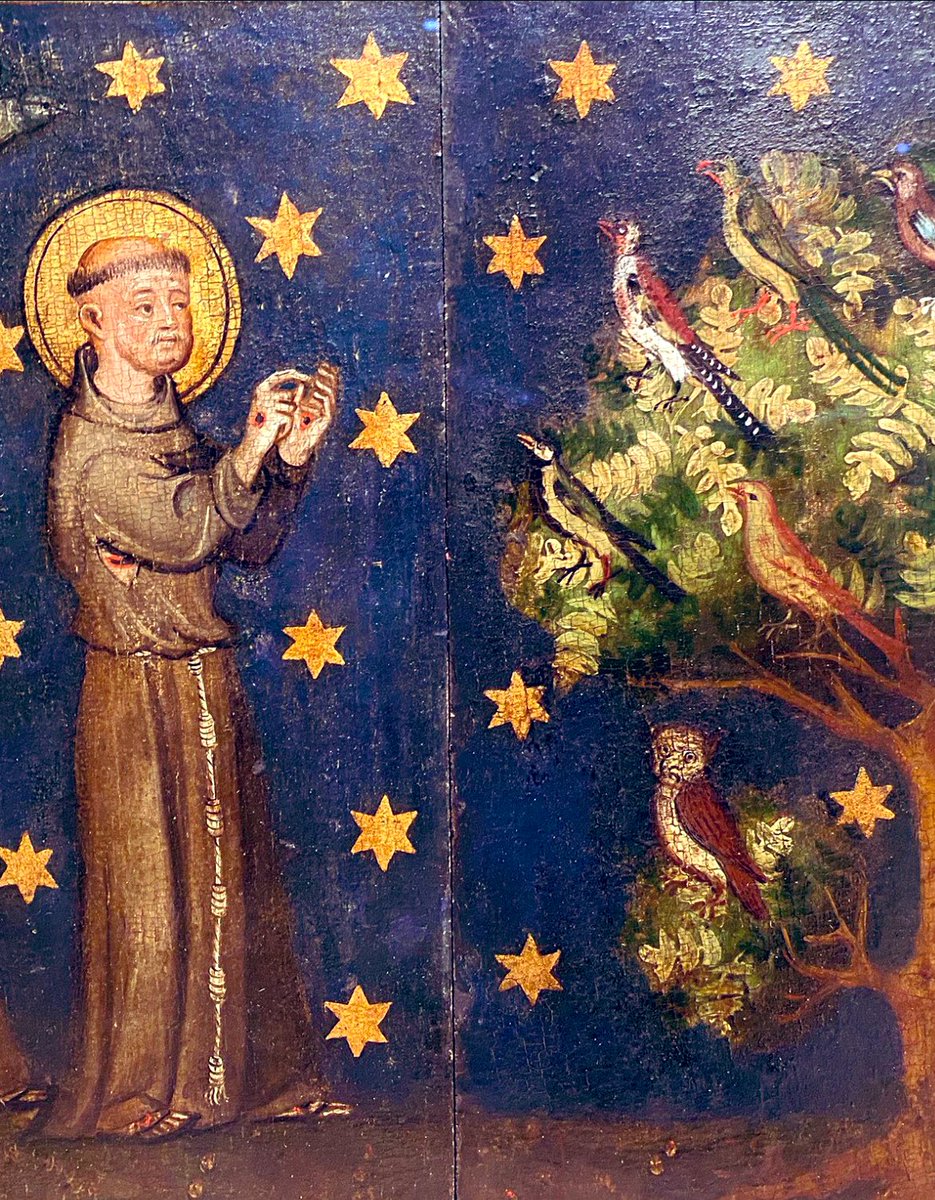 Plantagenet tweet media