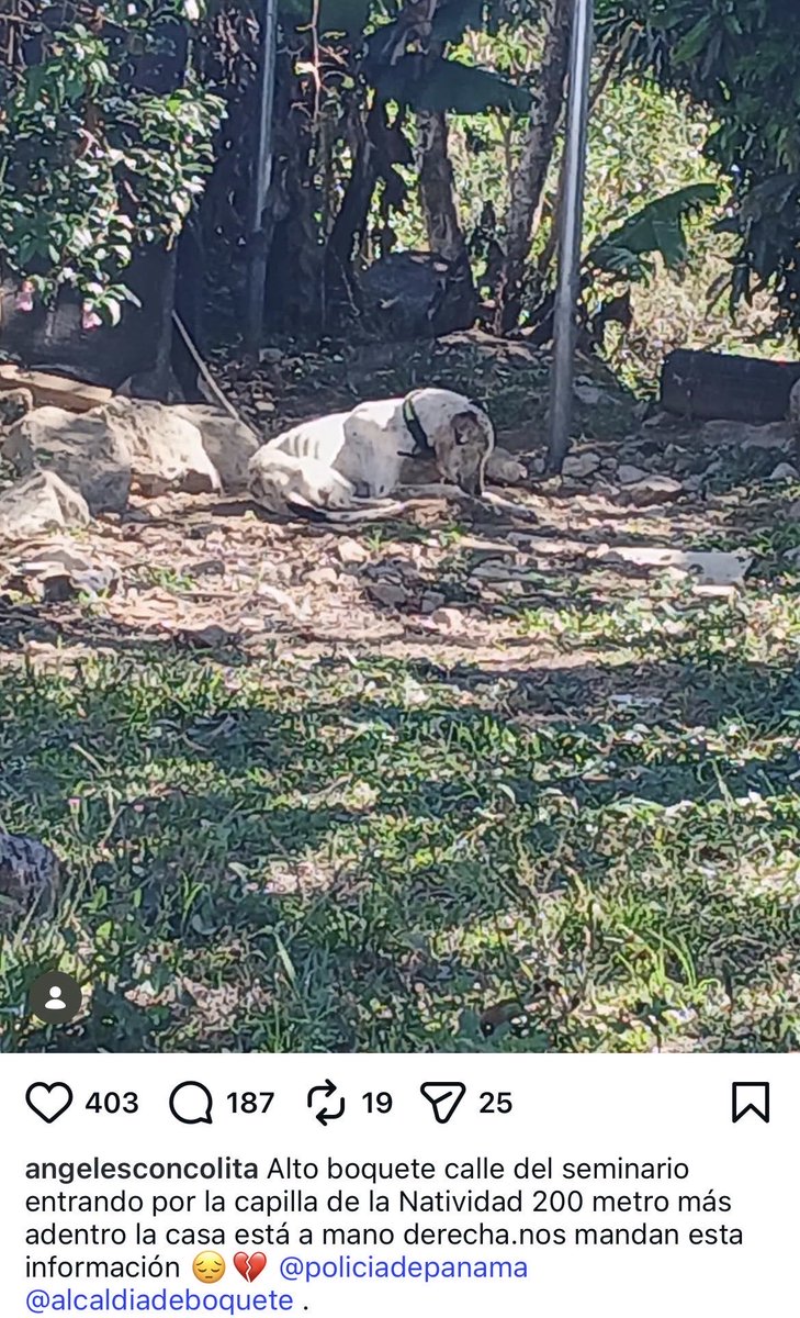 Ivette Berrio tweet media