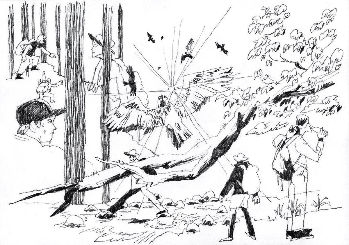 koki tsubomoto | 坪本幸樹 tweet media