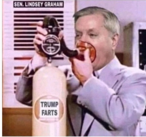 Voice of Reason tweet media