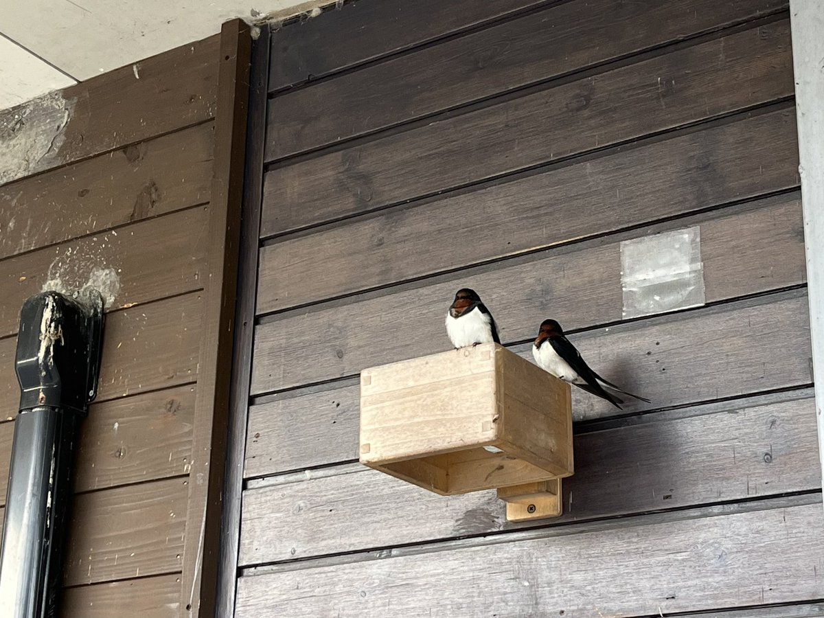 片桐水面 tweet media