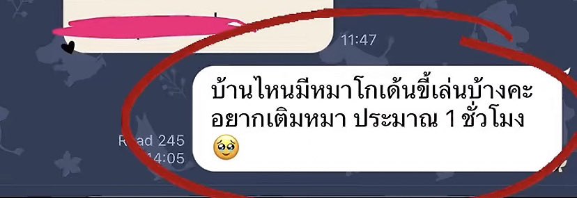 ถิงถิง tweet media
