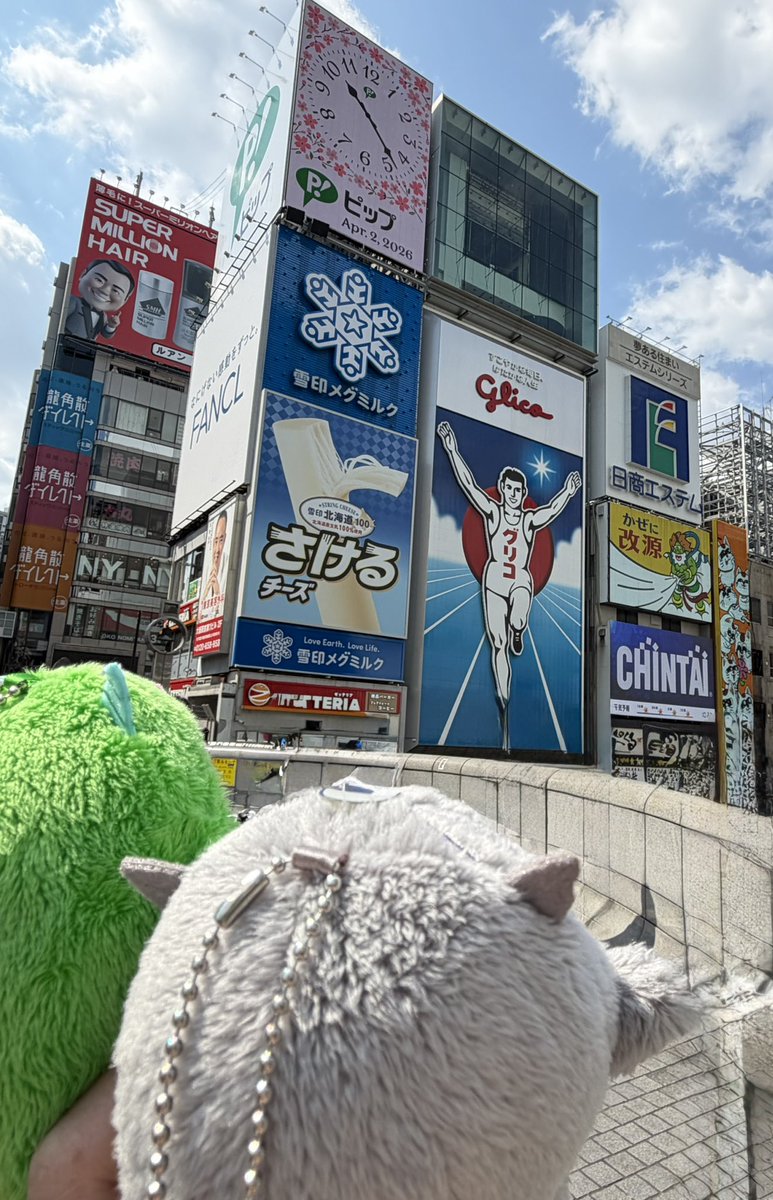 おくら tweet media