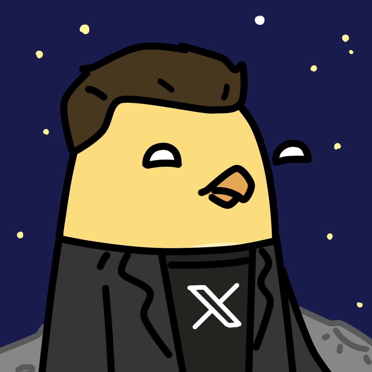 CANARY PUNK tweet media