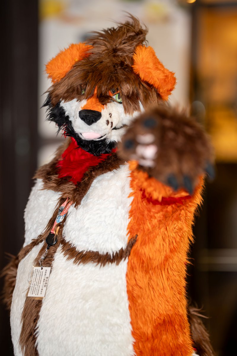 タンタン tweet media