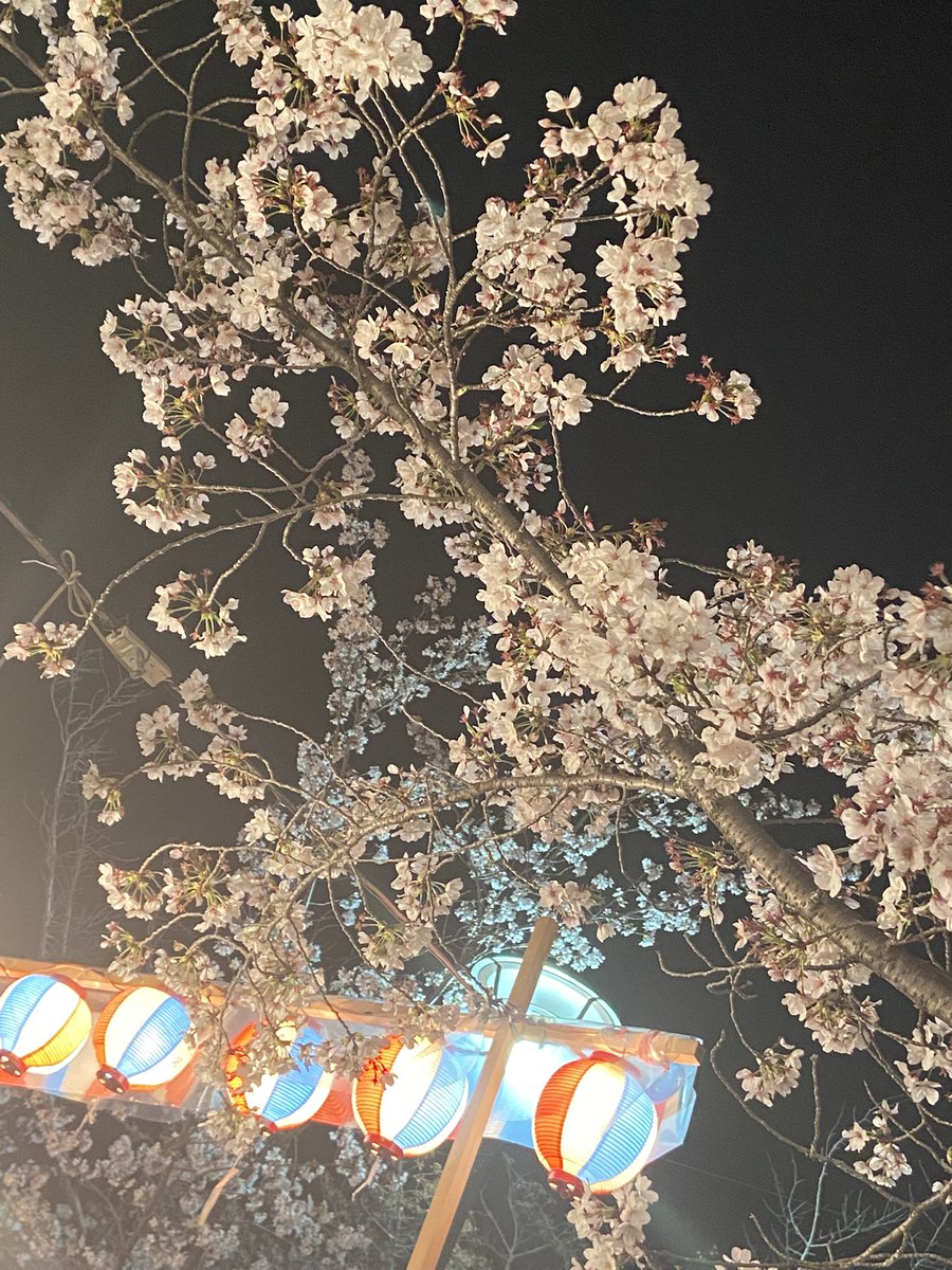 ゆめひろ♪ tweet media