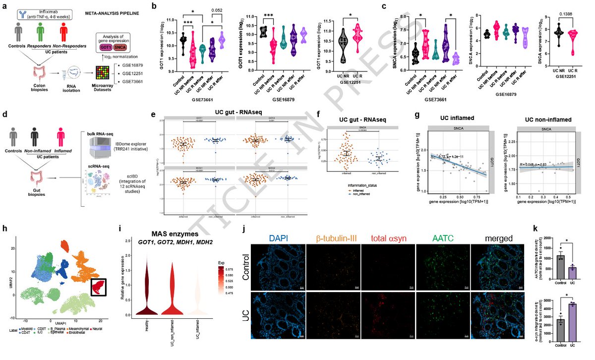 ScienceofPD's tweet image. Researchers show that Tumor Necrosis Factor alpha (TNFa) enhances α-synuclein accumulation in IPCS-derived enteric neurons &amp;amp; glia; It impairs the malate-aspartate shuttle - bridging #Parkinsons &amp;amp; intestinal inflammation
nature.com/articles/s4146…