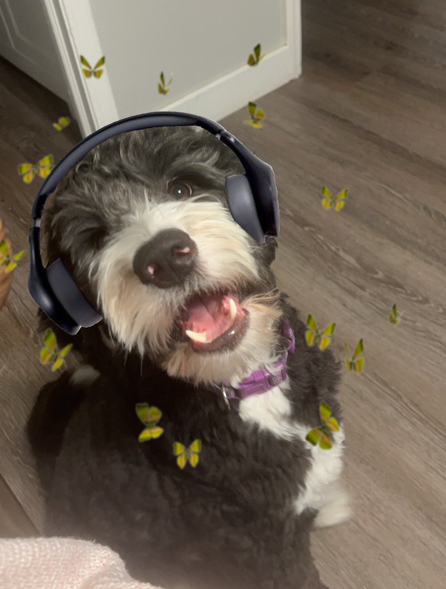 Lai~Lai 🌱 tweet media