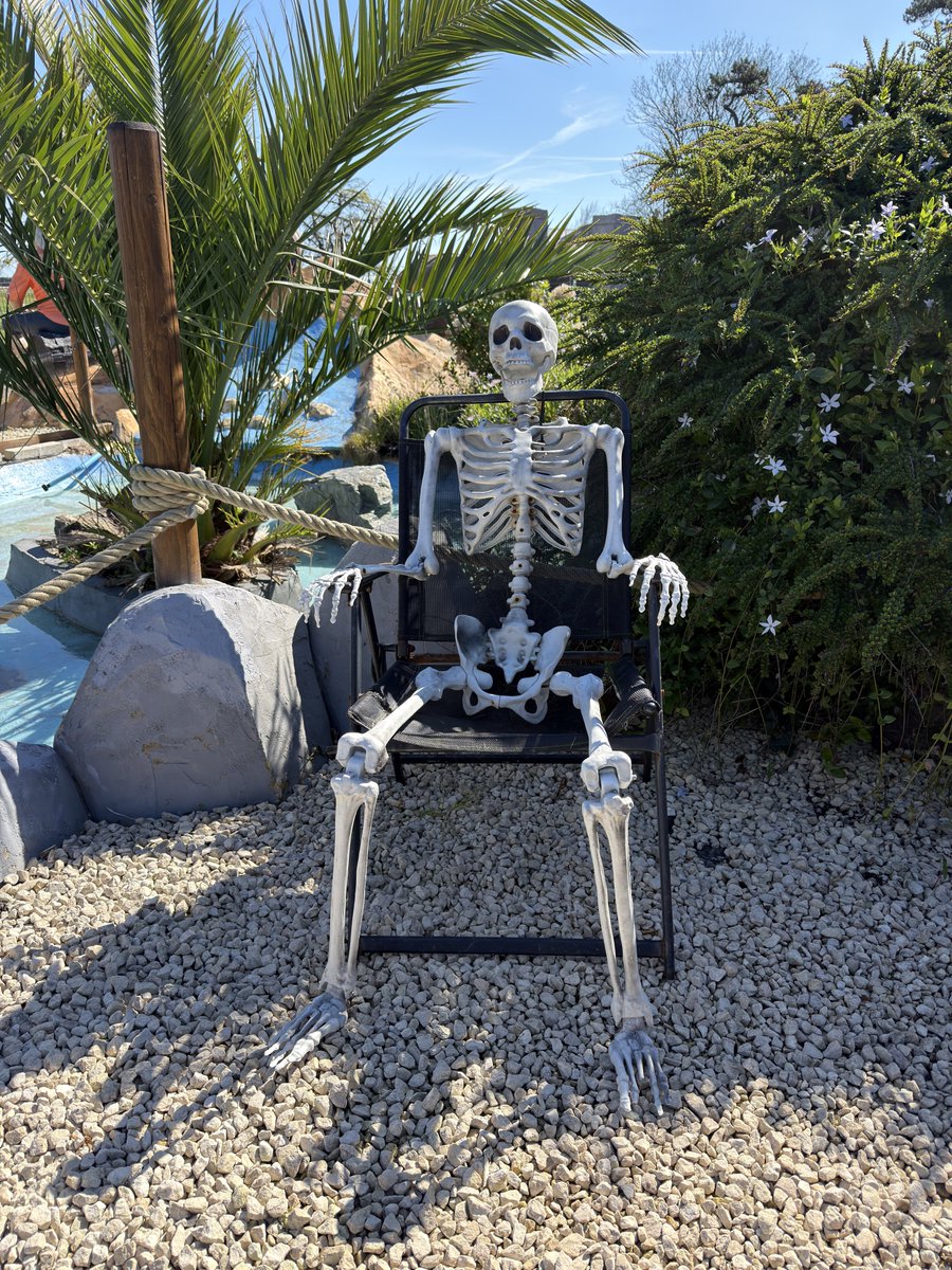 ☠️Daddy Bones☠️ tweet media