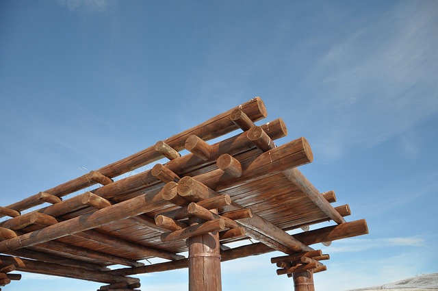 Derek Rogers tweet media