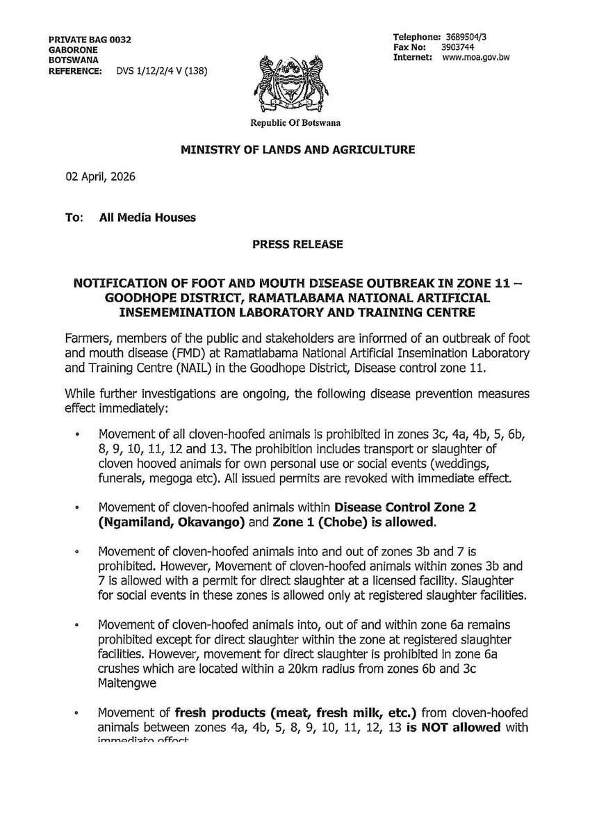 I'm focused tweet media