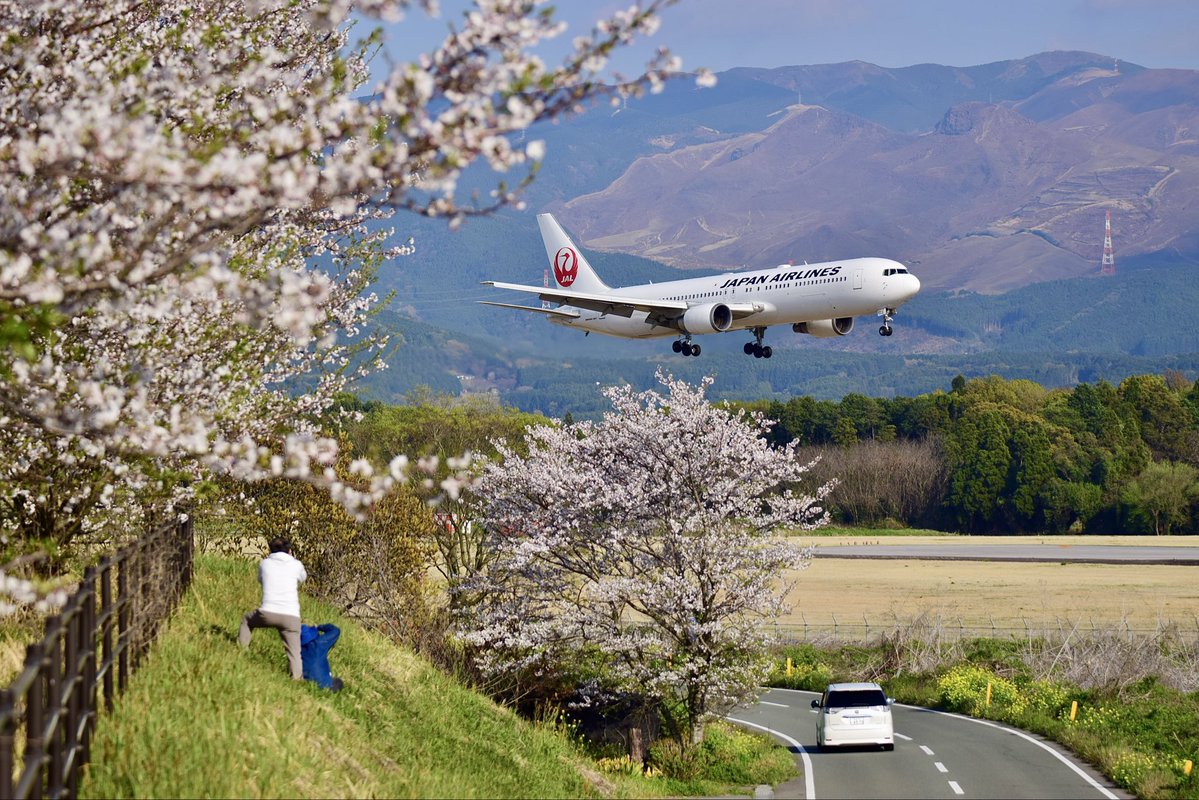 大豆柴 tweet media