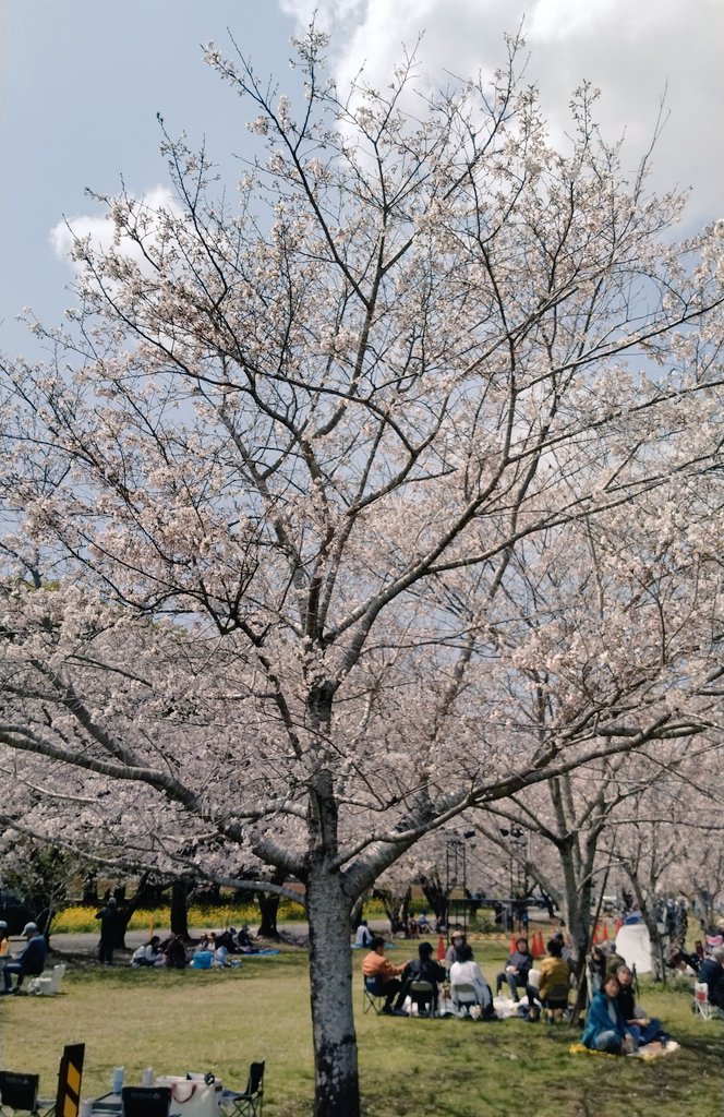 チップさん tweet media