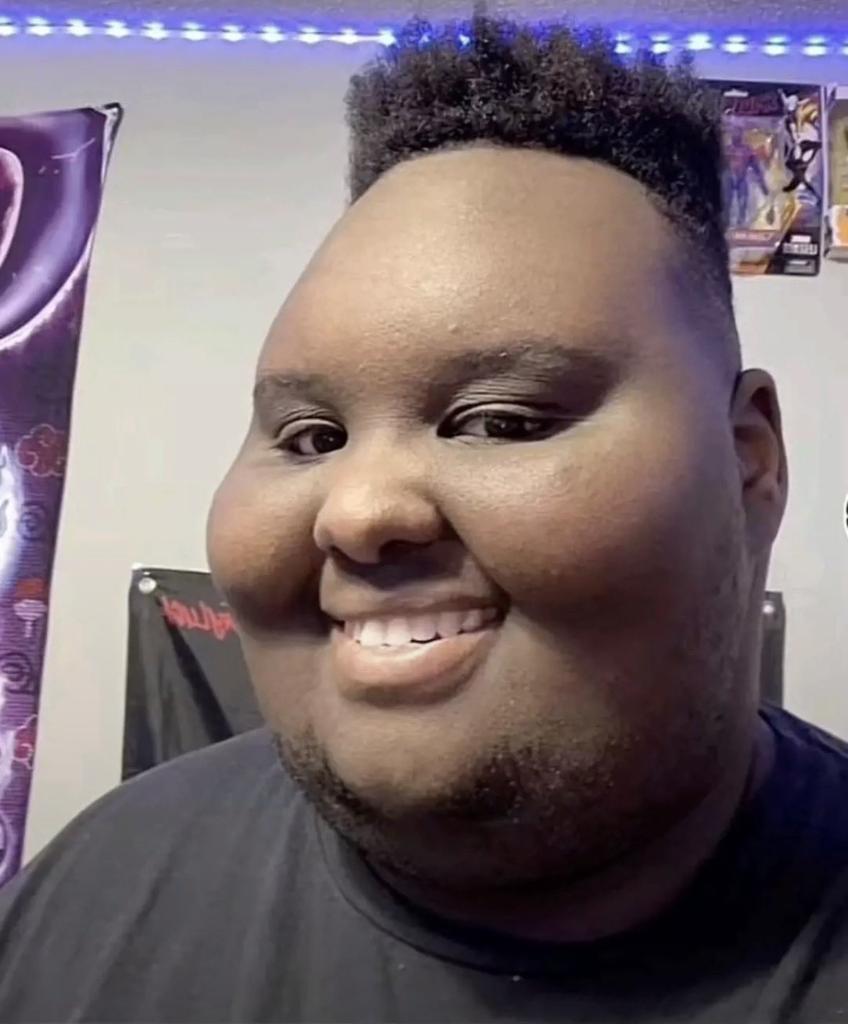 Gib Crypt tweet media