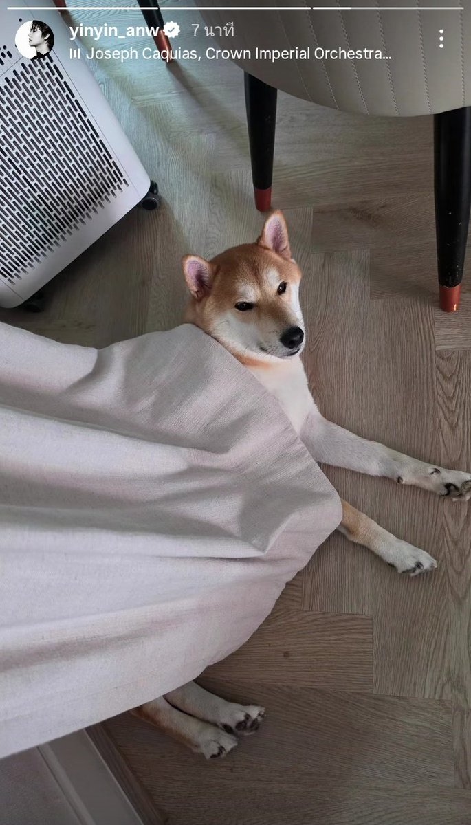 B L A C K~(บิ๊กหยิ่น)🖤สารวัตรเธียร์ tweet media