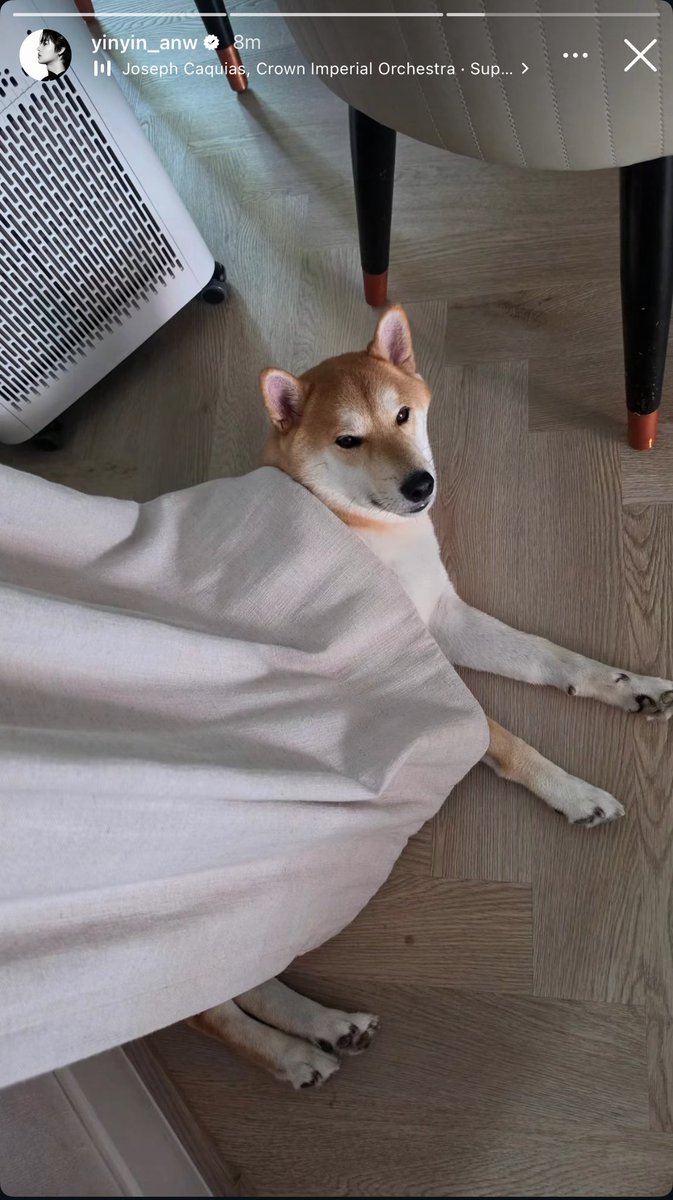 ว.วนรัตน์ 🌱☁️:) Always❤️YinWar tweet media