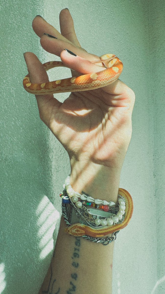 André Rocha tweet media