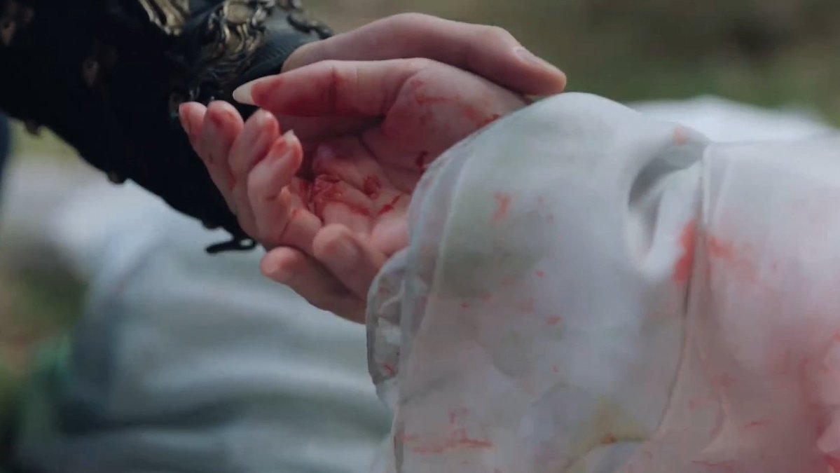 ايفي ❀ tweet media