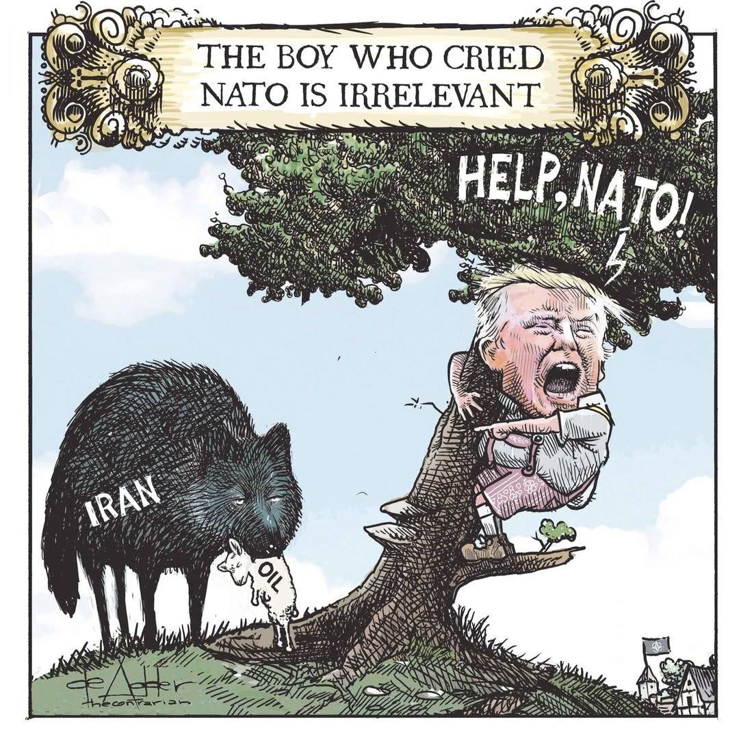 Michael de Adder tweet media