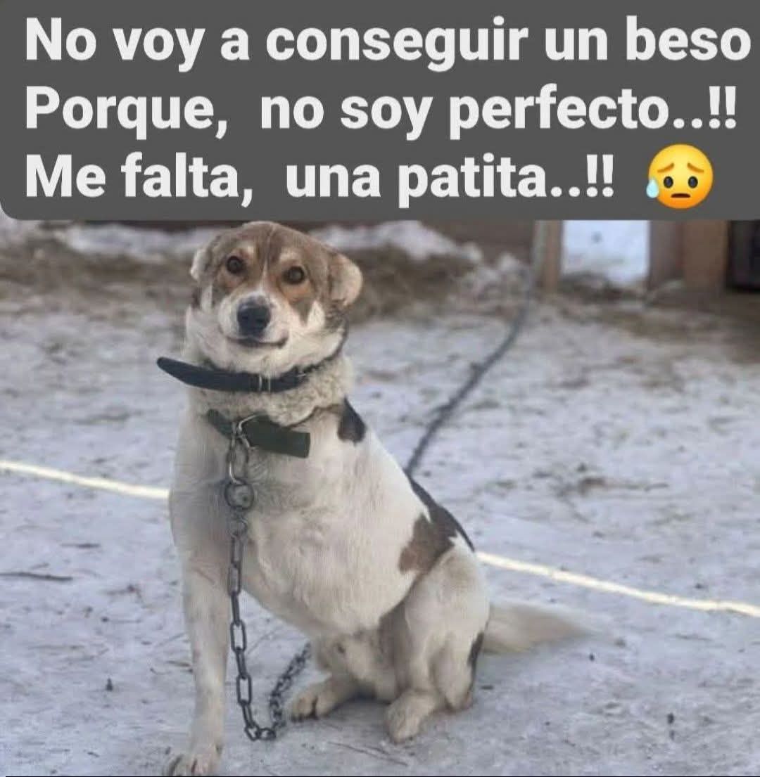 Andes Origen tweet media