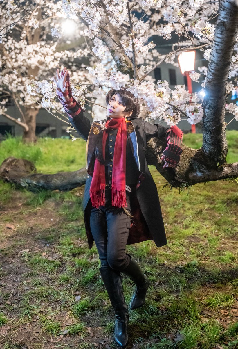 ⚜️ 白雪 ⚜️ tweet media