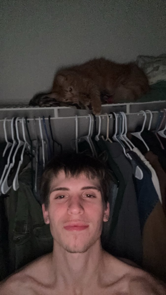 BeastBalls tweet media