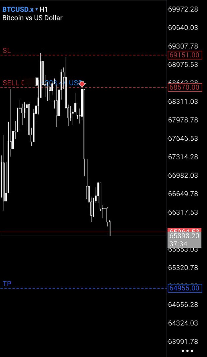 Valentin3™ tweet media