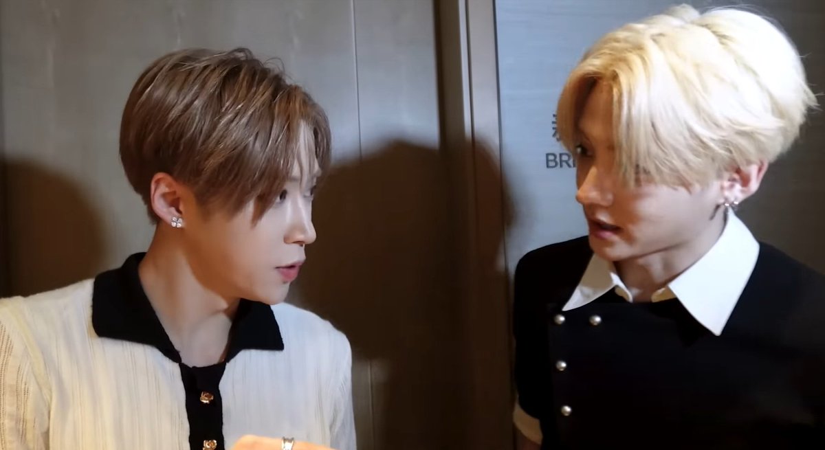 네사이네사 tweet media