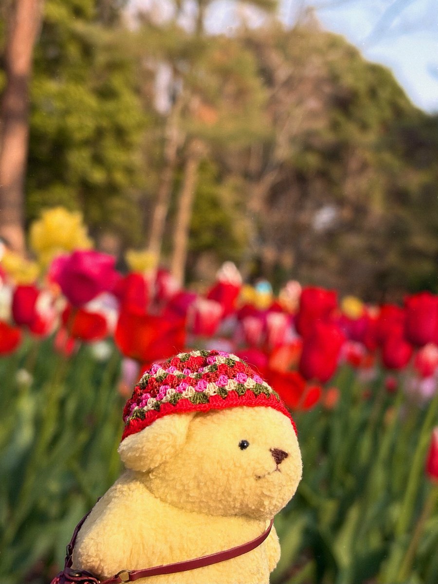 こつぶちゃん tweet media